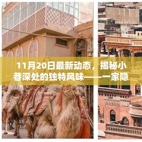 揭秘小巷深处的独特风味，一家隐藏于喧嚣之外的特色小店新发现