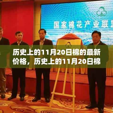 最新数据视角下的探讨,历史上11月20日棉花价格走势及其影响