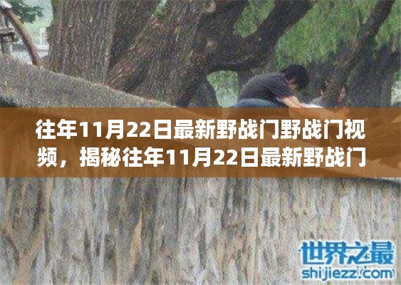 揭秘往年11月22日野战门视频,技术、应用与发展趋势深度解析
