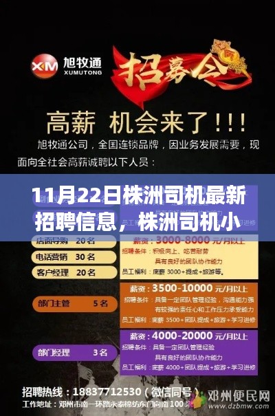 株洲司机最新招聘信息与小刘的求职奇遇日,友情、梦想与家的温暖之路