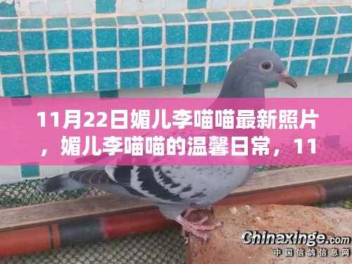 媚儿李喵喵11月22日温馨日常照,记录快乐时光