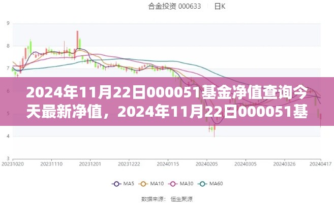 今日金融焦点,2024年11月22日000051基金净值揭晓与金融动态分析