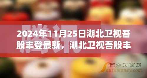 湖北卫视吾股丰登最新一期展望与观点探讨,聚焦股市动态,洞悉市场趋势(2024年11月25日)