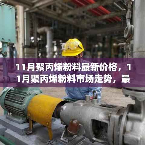 11月聚丙烯粉料市场走势及最新价格动态与行业洞察