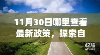 11月30日启程探索之旅,最新政策解读与自然美景的寻觅之旅
