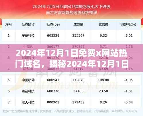 揭秘热门免费网站域名,探索未知网络世界小红书指南(2024年12月版)