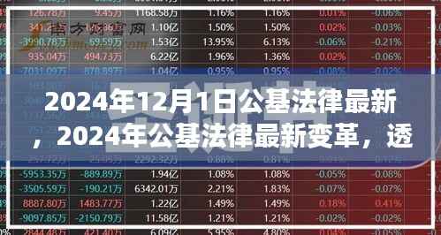 透视与反思,2024年公基法律最新变革深度解读