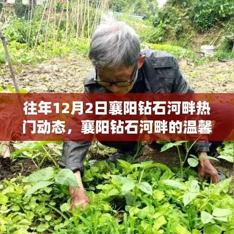 襄阳钻石河畔的温馨十二月,爱的守护与陪伴的日常故事