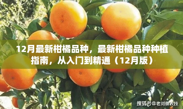 手舞足蹈 第3页