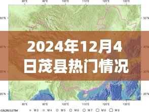 2024年12月4日茂县热门情况深度解析与概览