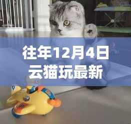 暖冬猫趣,云猫玩最新版体验时光