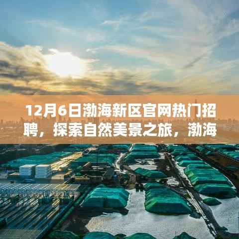 渤海新区热门招聘启幕,探索自然美景之旅,启程寻找宁静港湾