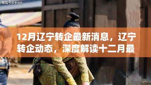 辽宁转企动态深度解读,十二月最新消息与进展