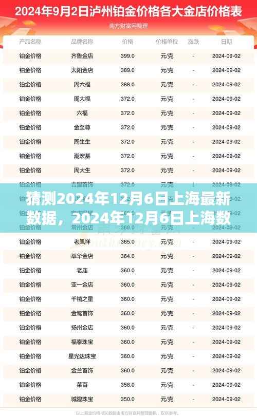 2024年12月6日上海数据预测与分析,观点阐述及前瞻