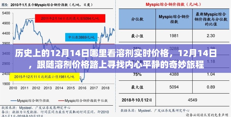 探寻内心平静之旅,12月14日溶剂实时价格查询指南