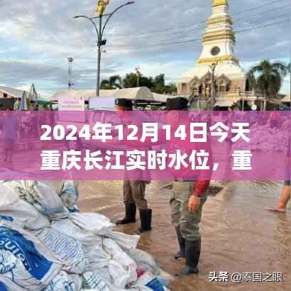 重庆长江实时水位波动下的多重视角分析,今日水位及未来趋势探讨(2024年12月14日)