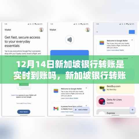揭秘新加坡银行转账实时到账,以12月14日为观察窗口