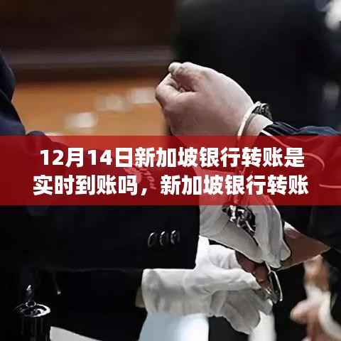 揭秘新加坡银行转账实时到账,以12月14日为观察窗口