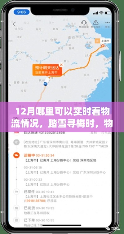 踏雪寻梅时,物流暖心相伴,十二月物流实时追踪与心灵旅行的融合体验