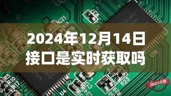 实时数据奇遇,冬日暖阳下的接口故事,揭秘实时获取数据的奥秘