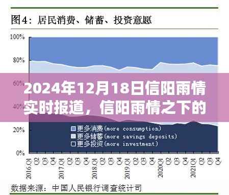 2024年信阳雨情实时报道,城市排水系统建设必要性探讨