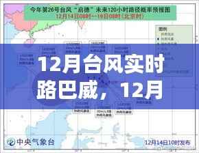 深度解析与案例分析,巴威台风实时路径追踪与影响分析(附案例分析)