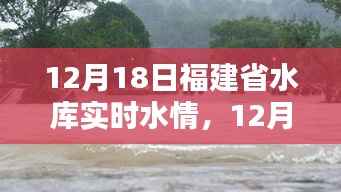 福建省水库实时水情报告,全面评测与详细介绍(12月18日)