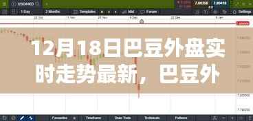 巴豆外盘实时走势分析,最新动态与多方观点探讨(12月18日)