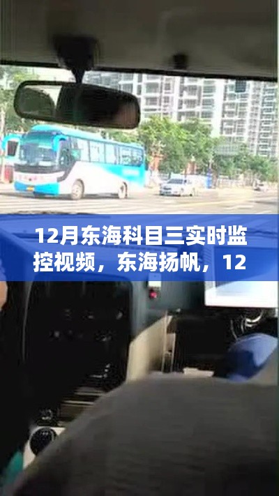12月东海科目三实时监控视频解析,扬帆科目三的深度观察