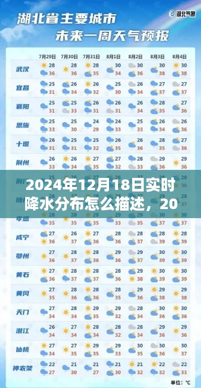 雨幕下的世界,2024年12月18日实时降水分布纪实