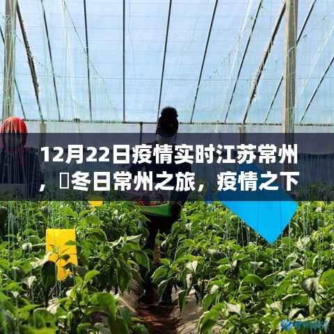 江苏常州疫情下的冬日心灵之旅,与自然共舞,寻找宁静绿洲