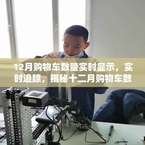 揭秘十二月购物车数量背后的秘密,实时追踪与实时显示数据报告