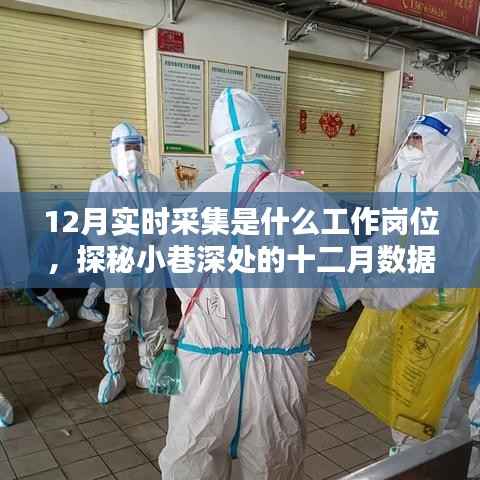实时采集员,探秘十二月小巷深处的数据宝藏