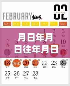 股票实时行情查询与历年历史数据深度解析,掌握未来走势的必备指南