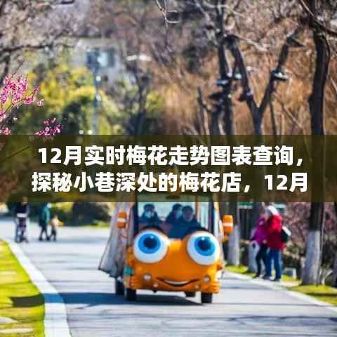 探秘小巷深处的梅花店，揭秘梅花走势图的最新体验与实时查询