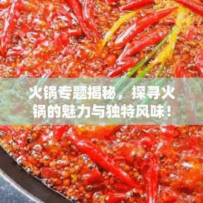 火锅专题揭秘,探寻火锅的魅力与独特风味!