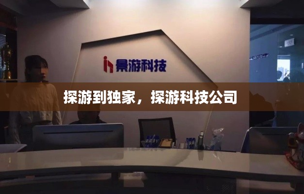 探游到独家,探游科技公司