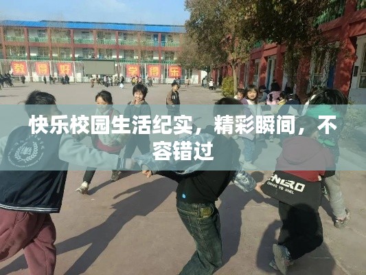 快乐校园生活纪实,精彩瞬间,不容错过