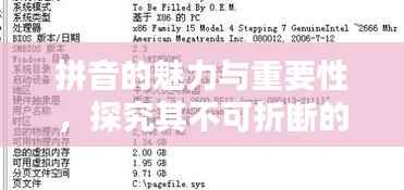 拼音的魅力与重要性,探究其不可折断的吸引力