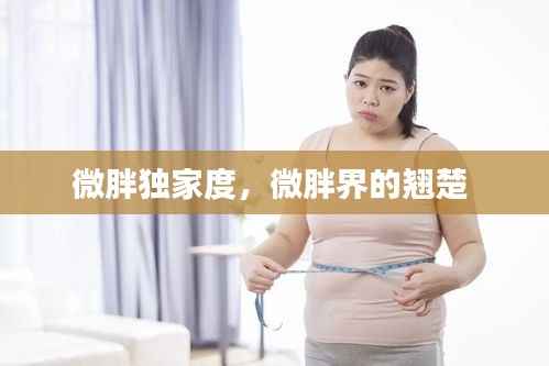 微胖独家度,微胖界的翘楚