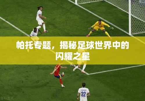 帕托专题,揭秘足球世界中的闪耀之星