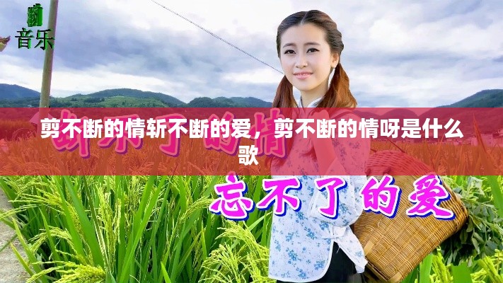 剪不断的情斩不断的爱,剪不断的情呀是什么歌