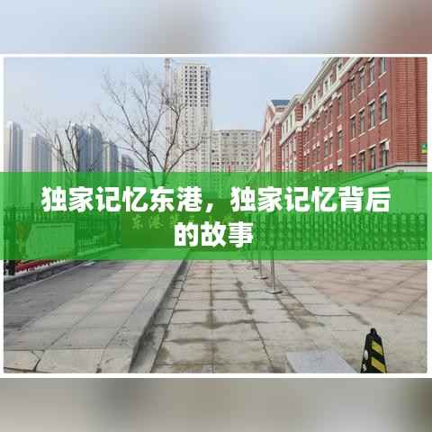 独家记忆东港,独家记忆背后的故事