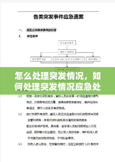 怎么处理突发情况,如何处理突发情况应急处置能力