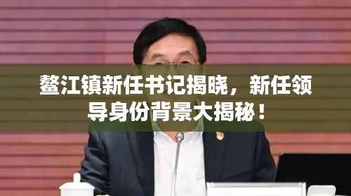 鳌江镇新任书记揭晓,新任领导身份背景大揭秘!
