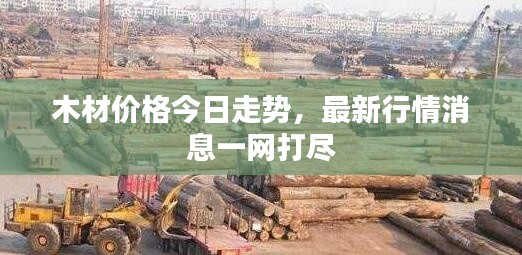 木材价格今日走势,最新行情消息一网打尽