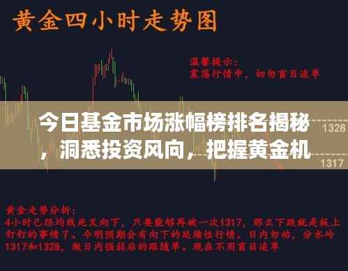 今日基金市场涨幅榜排名揭秘,洞悉投资风向,把握黄金机遇!