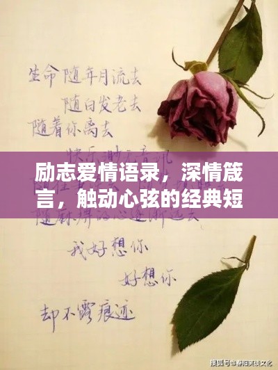 励志爱情语录,深情箴言,触动心弦的经典短文