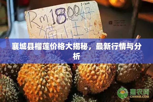 襄城县榴莲价格大揭秘,最新行情与分析