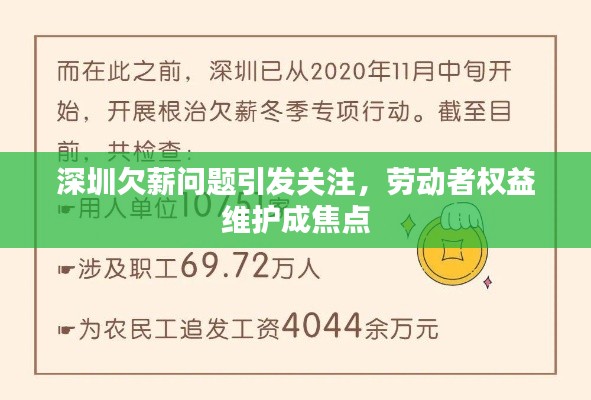 深圳欠薪问题引发关注,劳动者权益维护成焦点